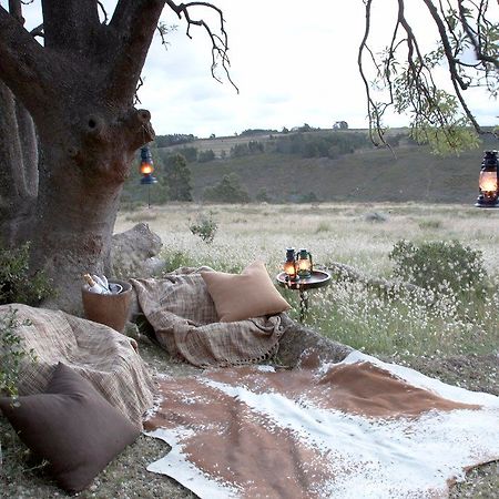 Gondwana Game Reserve Herbertsdale Exterior foto