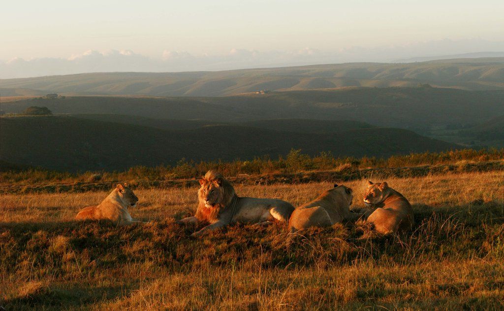 Gondwana Game Reserve Herbertsdale Exterior foto