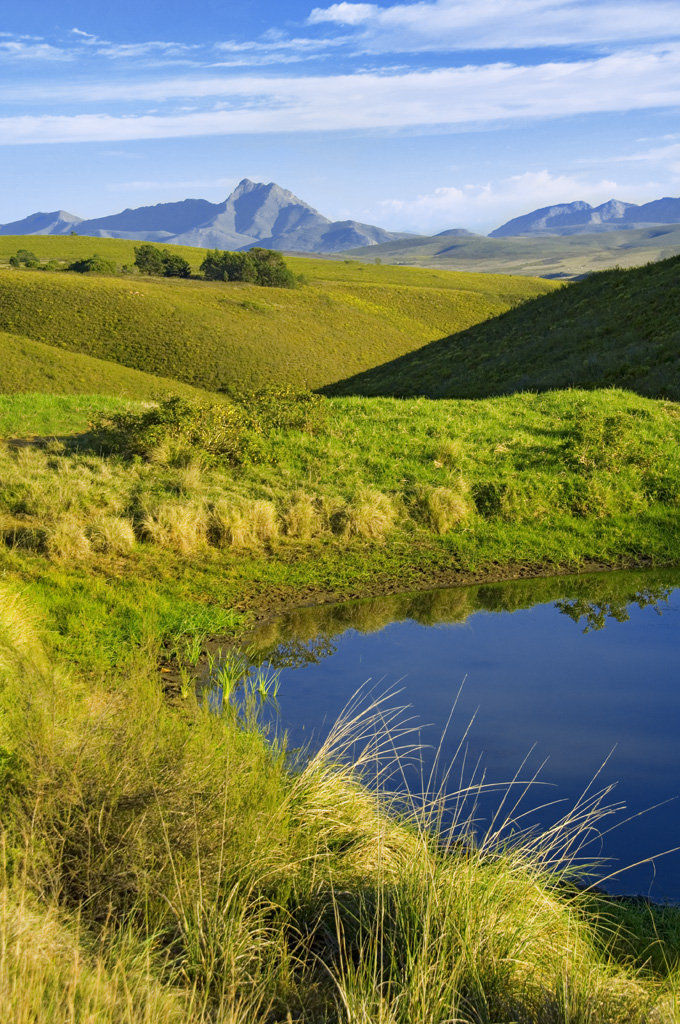 Gondwana Game Reserve Herbertsdale Exterior foto