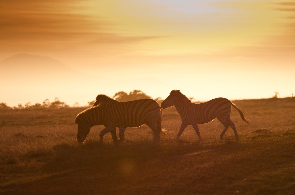 Gondwana Game Reserve Herbertsdale Exterior foto
