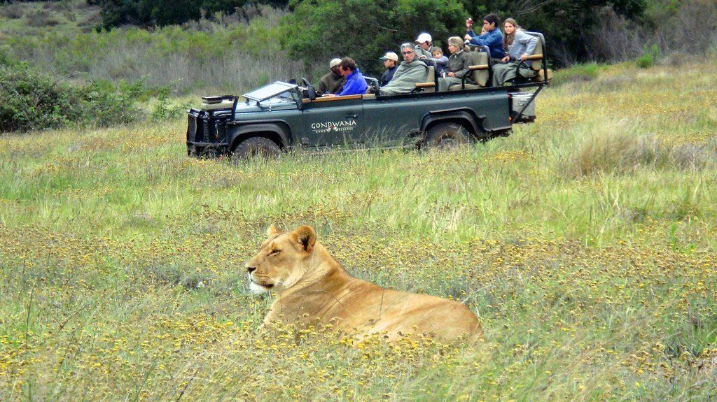 Gondwana Game Reserve Herbertsdale Exterior foto
