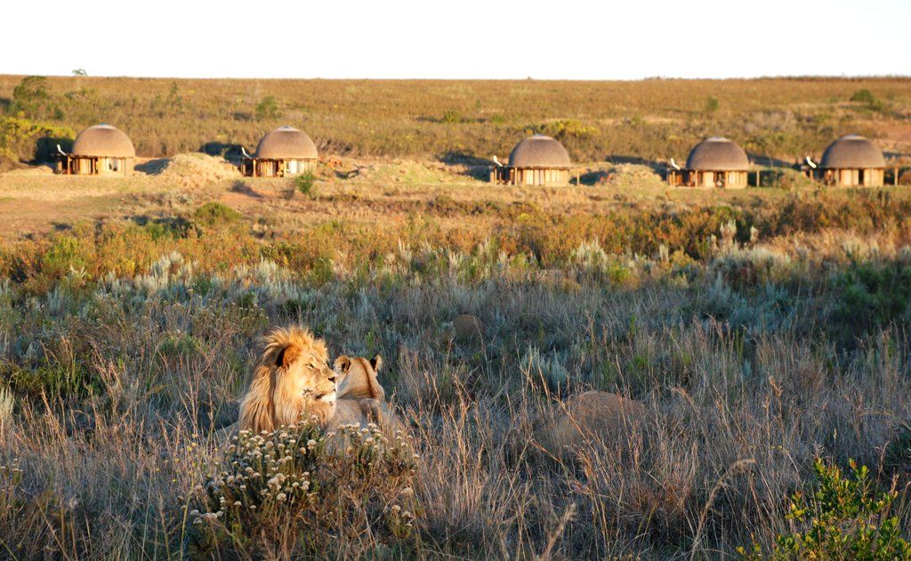 Gondwana Game Reserve Herbertsdale Exterior foto
